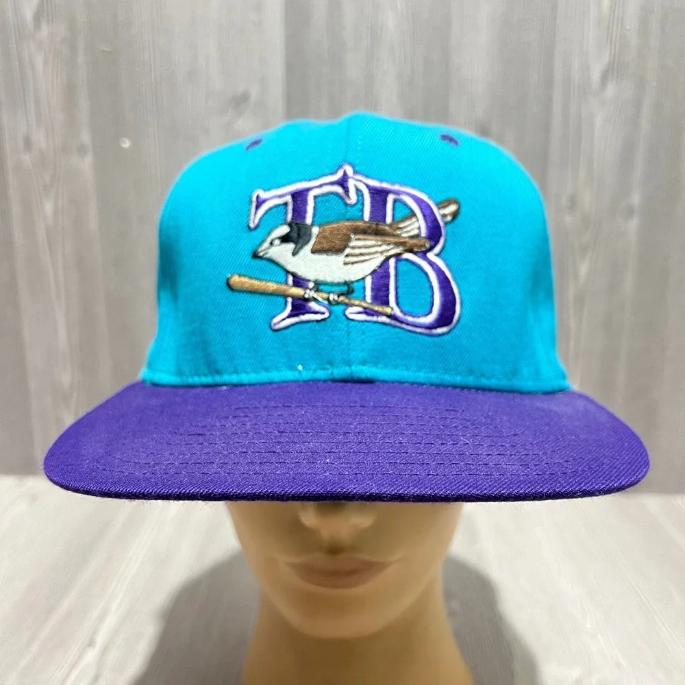 Vintage DeLong TB Bird Logo Snapback Hat Teal Purple Made in‎ USA Mens Cap